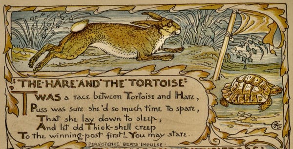 This Book is Banned - Allegory - Hare and Tortoise