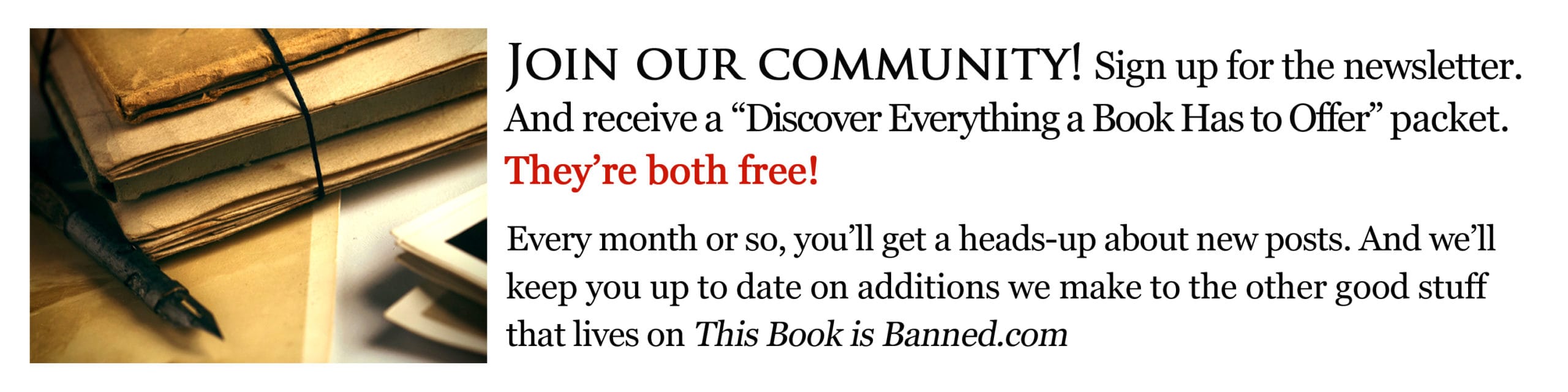 This Book is Banned - newsletter sign-up block