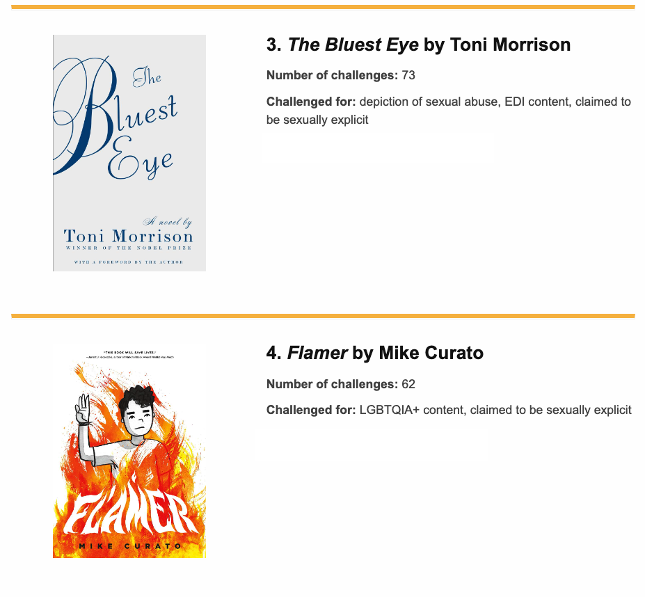 covers of The bluest eye and flamer