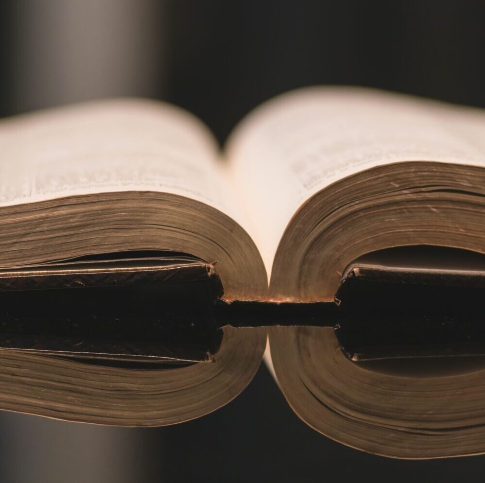 Supporting Emerging Aadolescents through Engaged Reading and Conversation