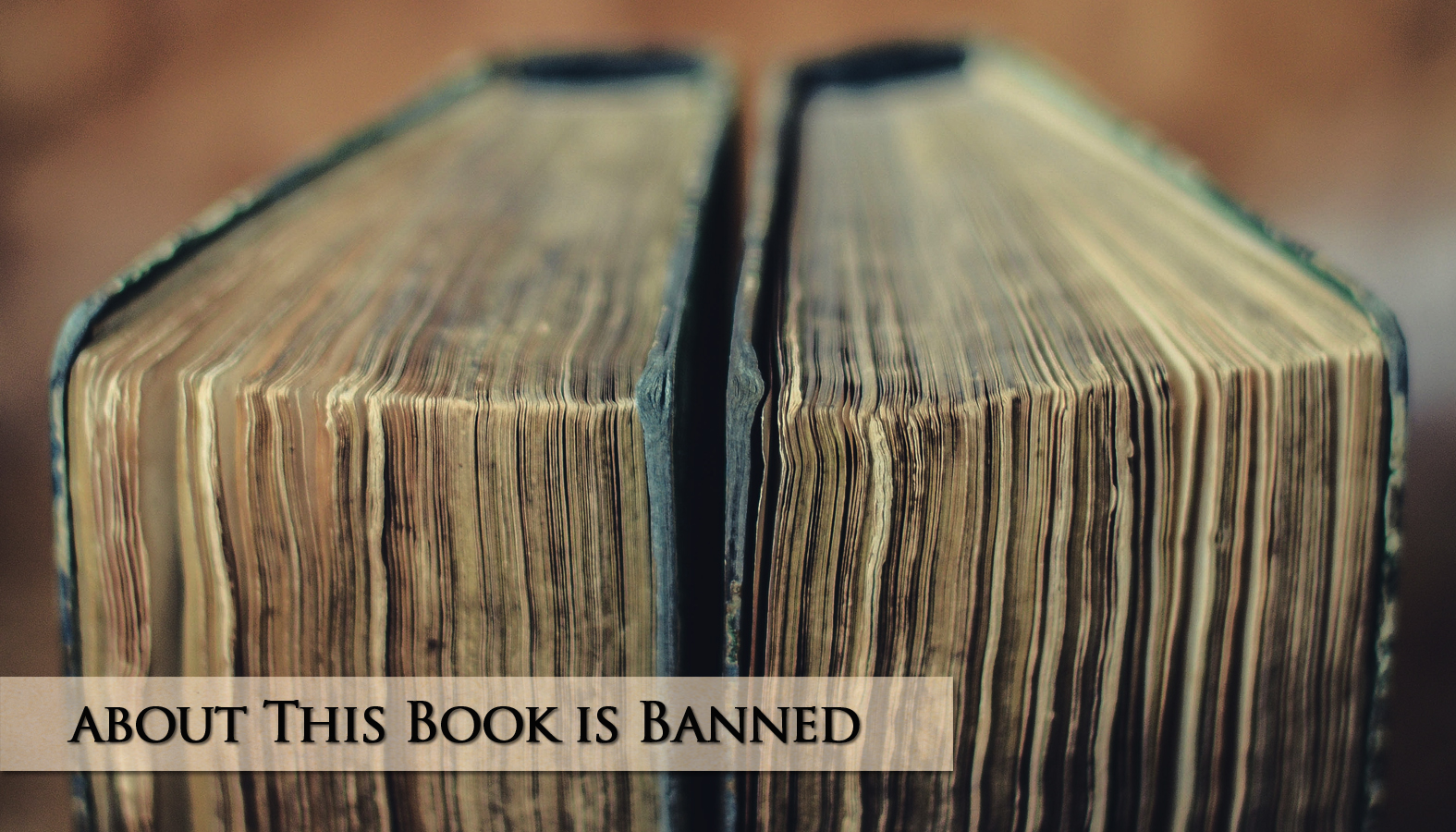 fanned vintage books - about this book is banned