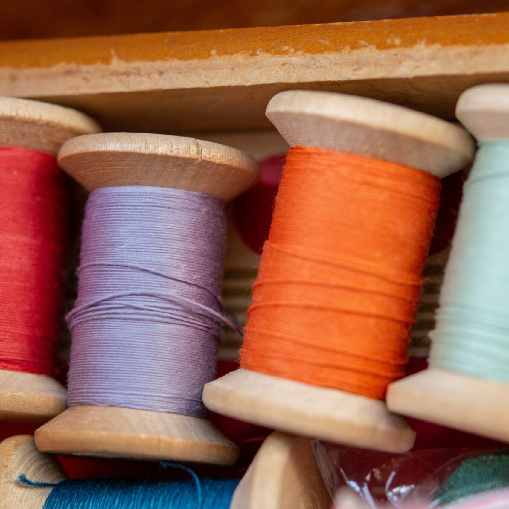 This Book is Banned_The Color Purple-womanism and Celie's self-sufficiency