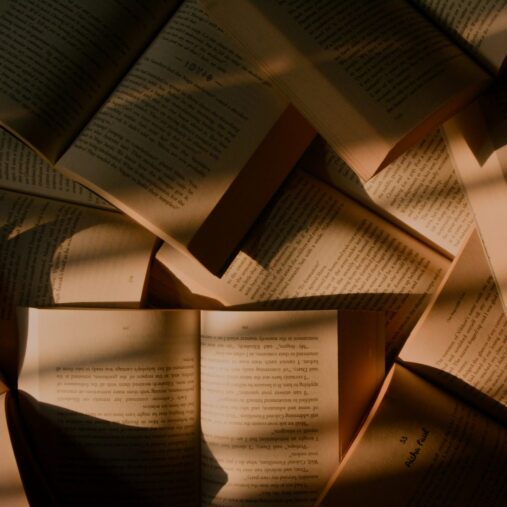 societal anger is re-directed this book is banned_Fahrenheit 451