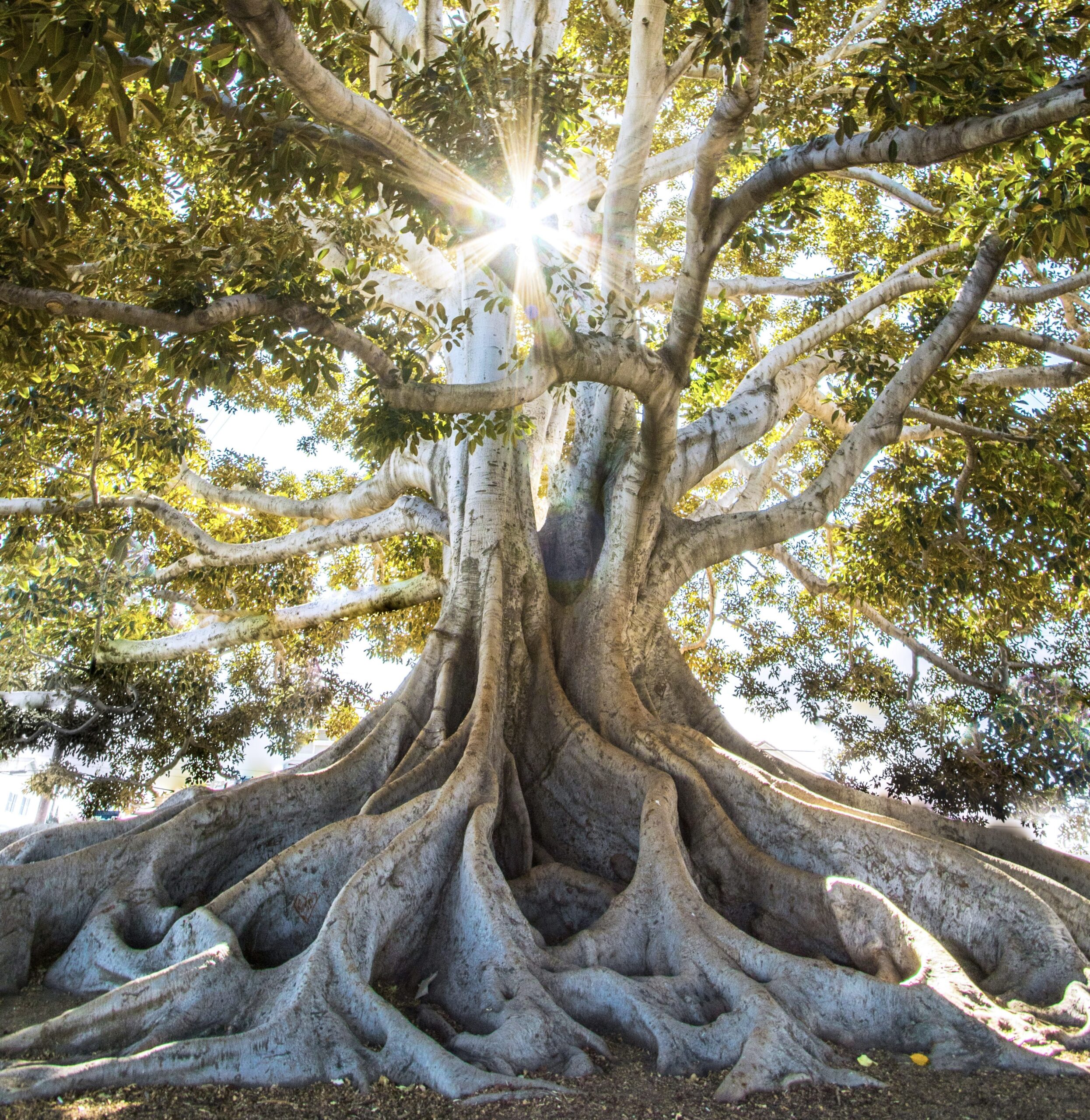 self care for teachers