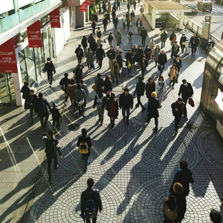 meso-dignity book banning impacts physical health