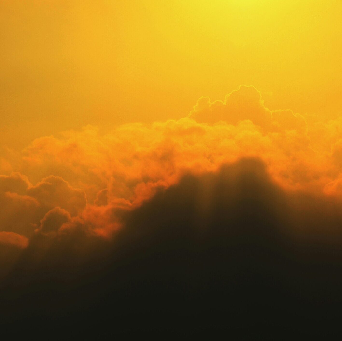 Martin Luther King Jr.