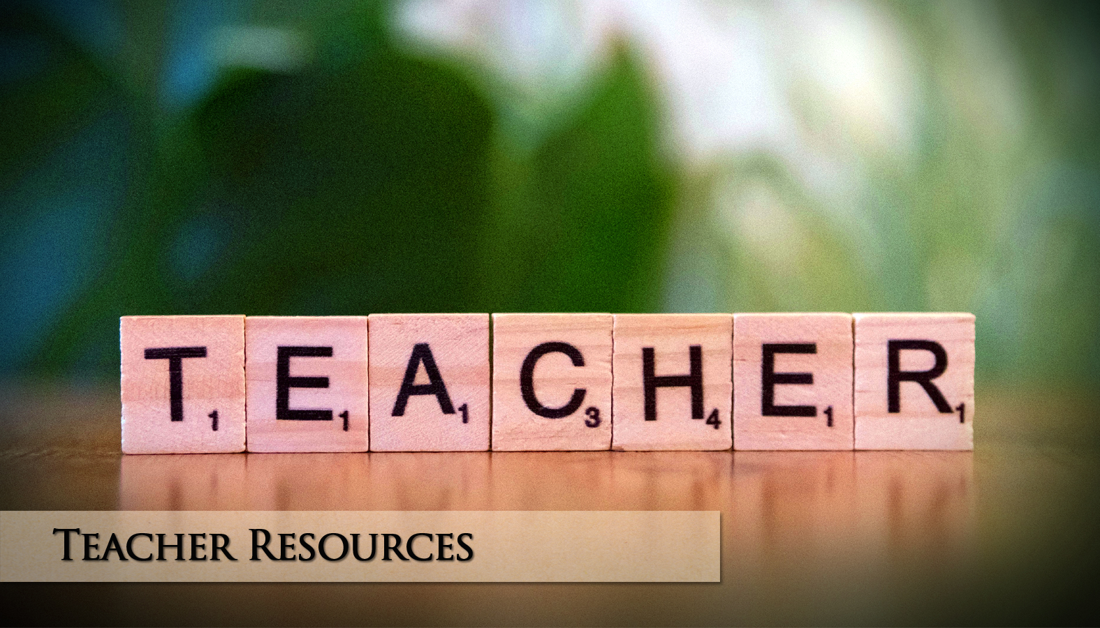 teachers resources
