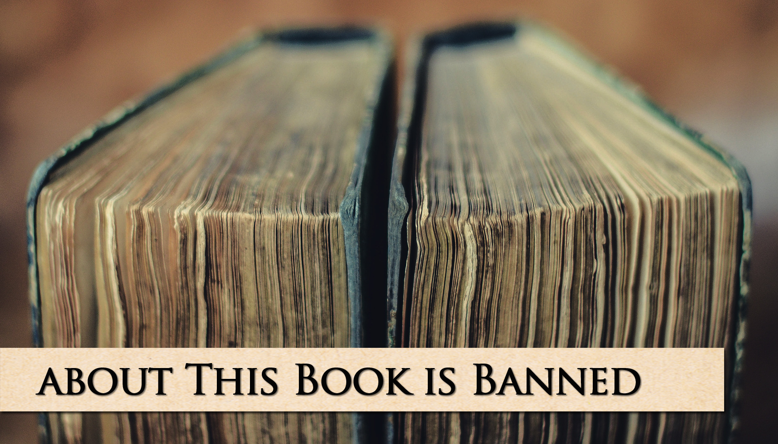 fanned vintage books - about this book is banned
