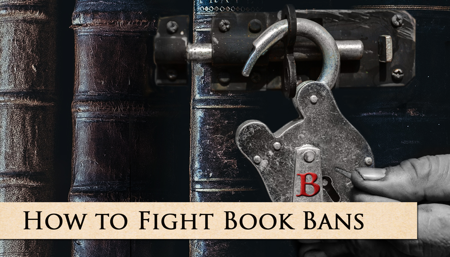 How to Fight book bans