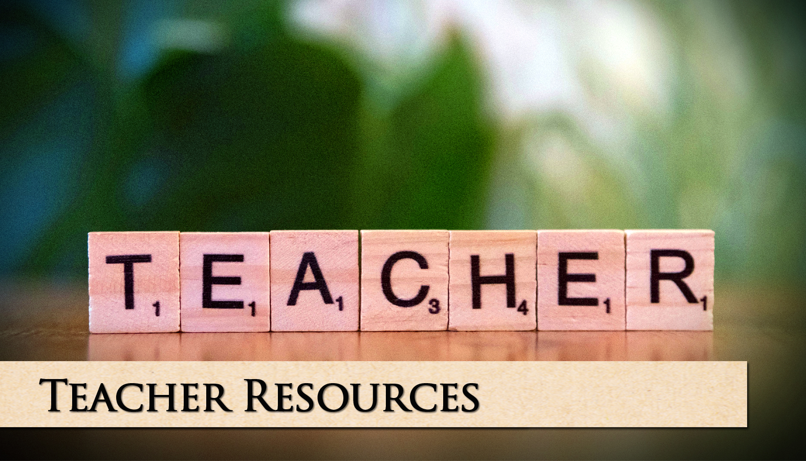 teachers resources