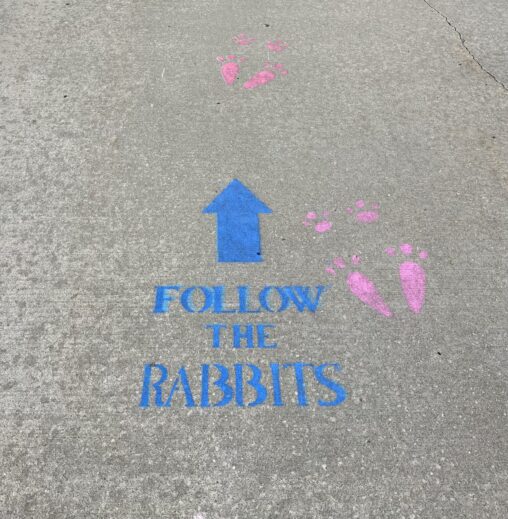 The Rabbit Hole down a rabbit hole