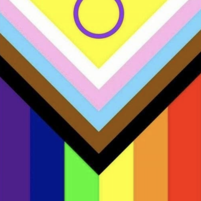 2026 Rainbow Book List Stonewall - progress pride flag