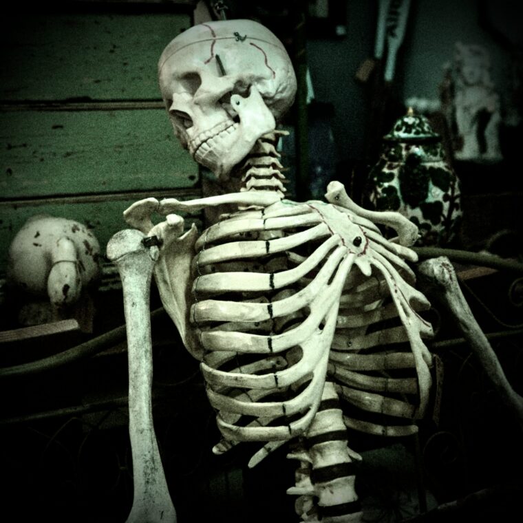 skeletons in the closet